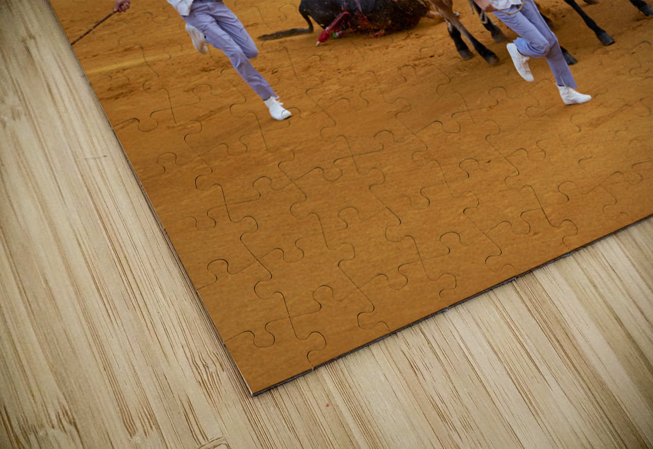 ANDALUSIA SPAIN. Bullfight in Seville Arena Marco Brivio Puzzle
