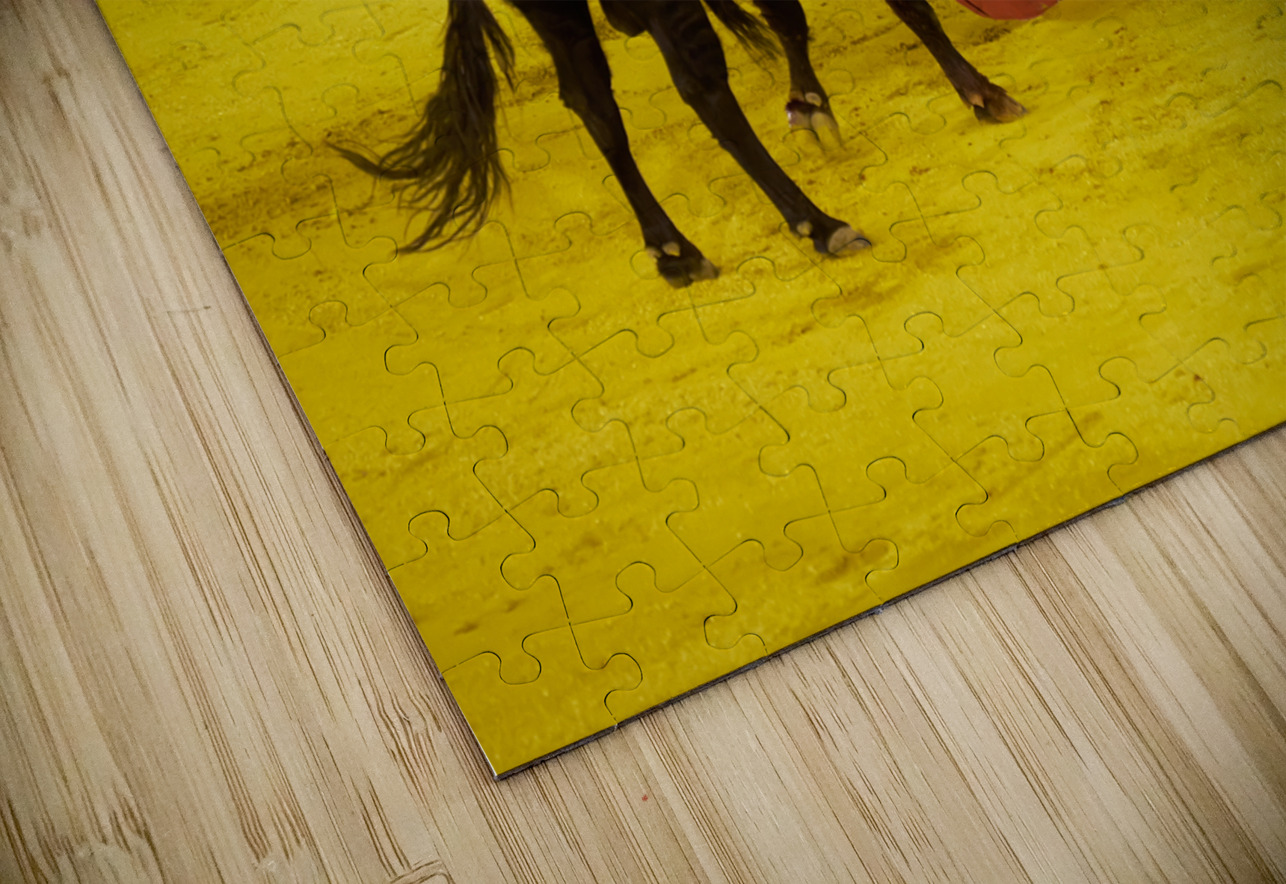 ANDALUSIA SPAIN. Bullfight in Seville Arena Marco Brivio Puzzle