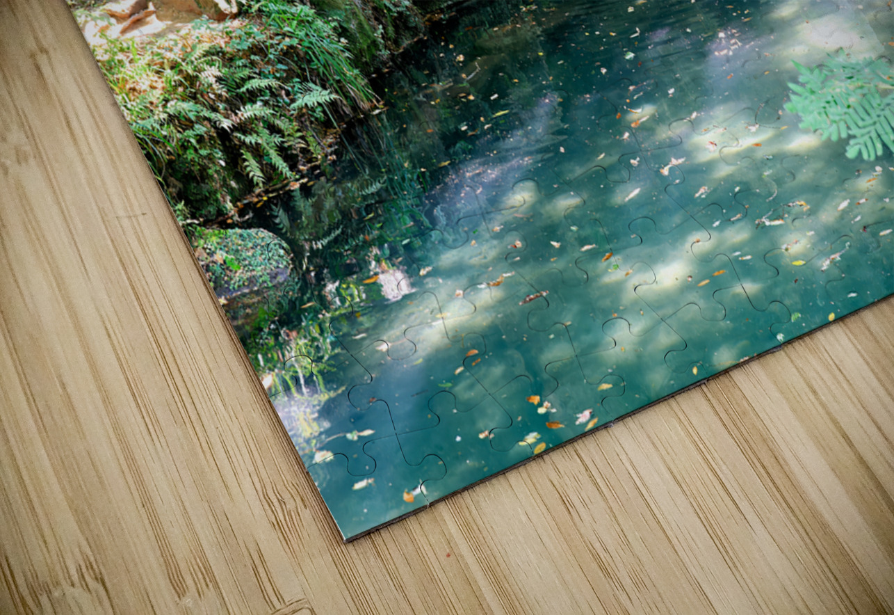Caserta Campania Italy. The Royal Palace. The bath of Venus Marco Brivio Puzzle