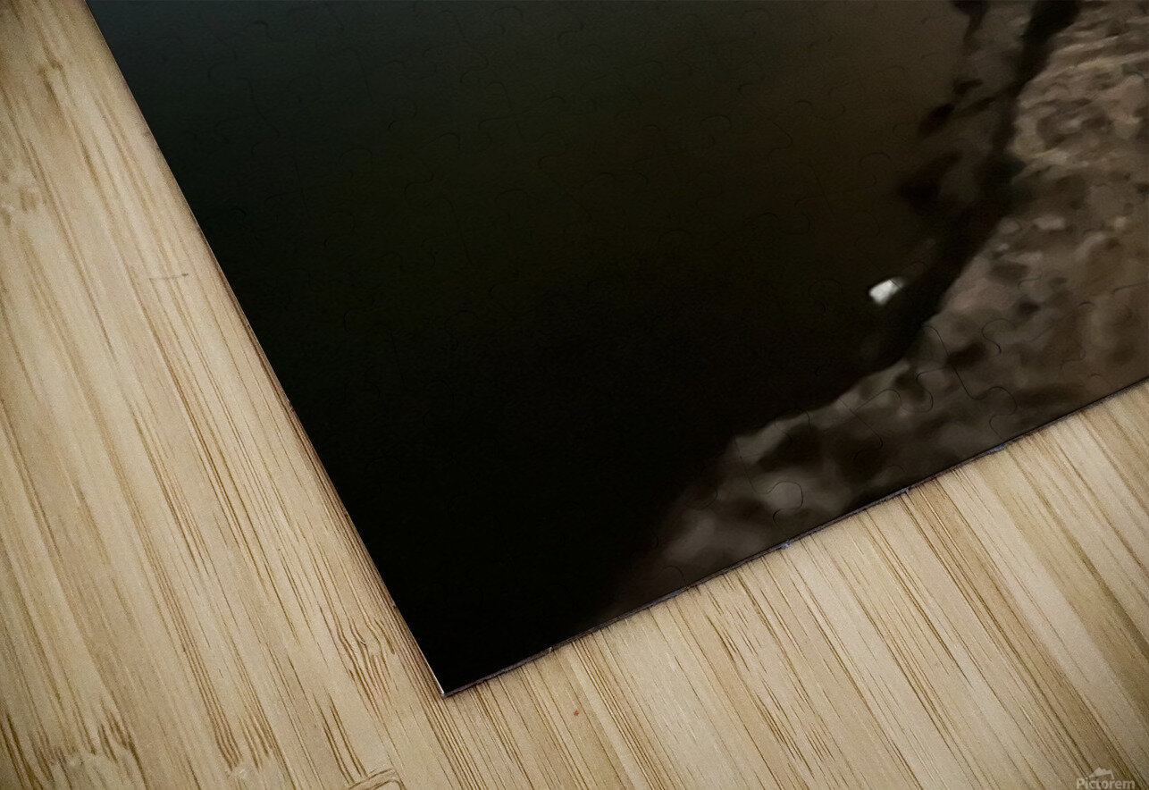 IMG 8555 Lamar Moore Puzzle