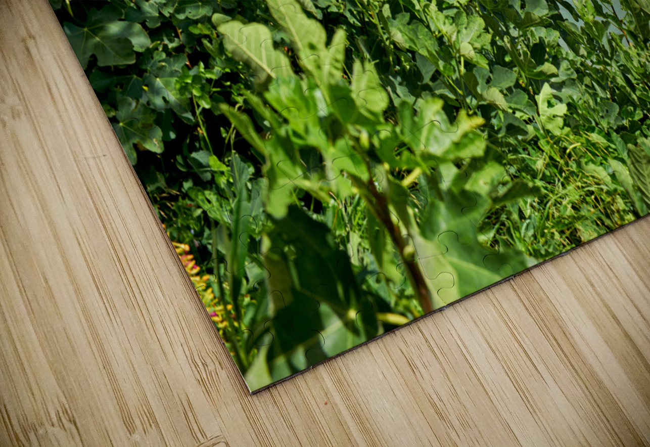 Vieste Gargano. Apulia Puglia Italy. Cape San Francesco and San Francesco church Marco Brivio Puzzle