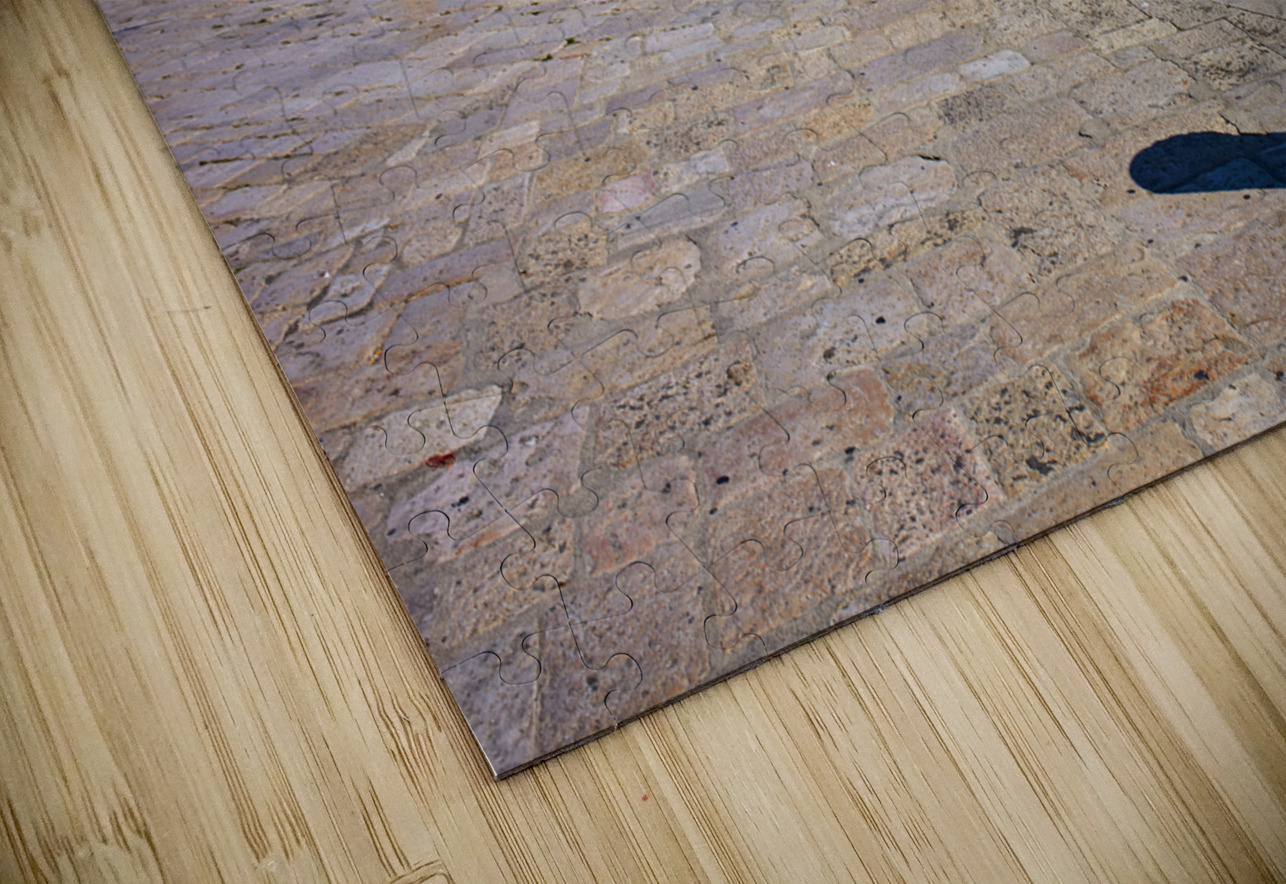 Apulia Puglia Italy. Trani. The seaport Marco Brivio Puzzle