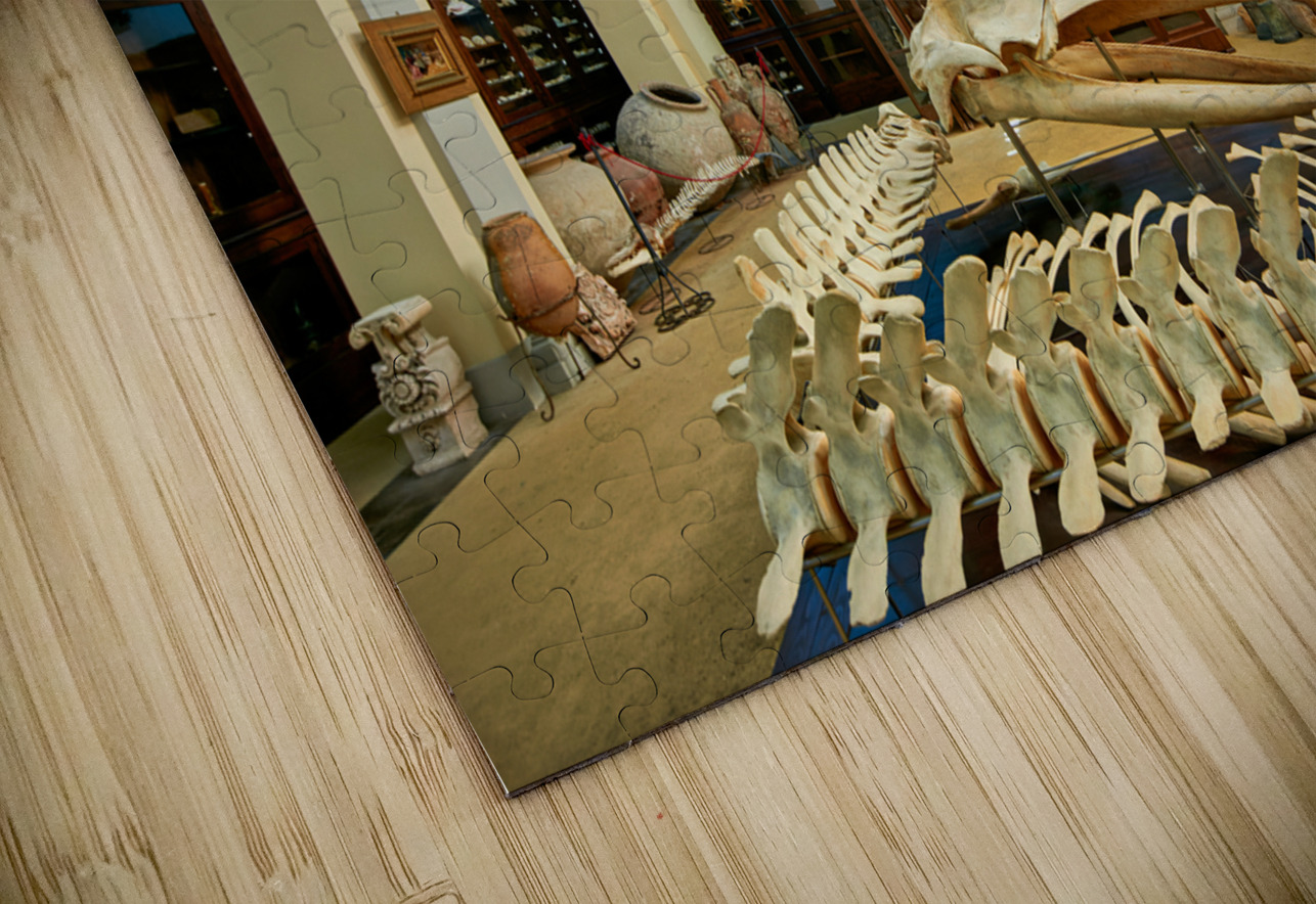 Salento. Apulia Puglia Italy. Gallipoli. Civic Museum Emanuele Barba Marco Brivio Puzzle