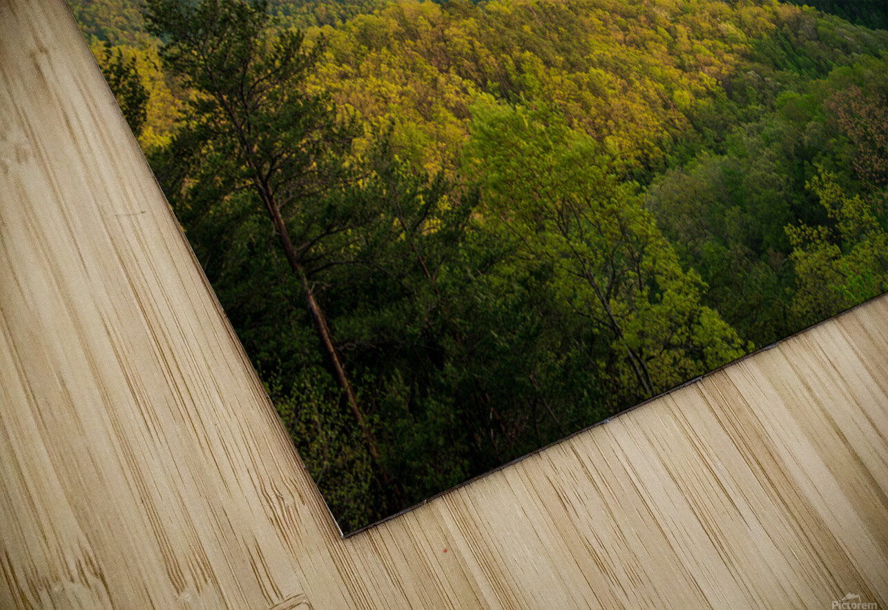 Smoky Mts-Spring Sunset 1 Mike Coulombe Puzzle