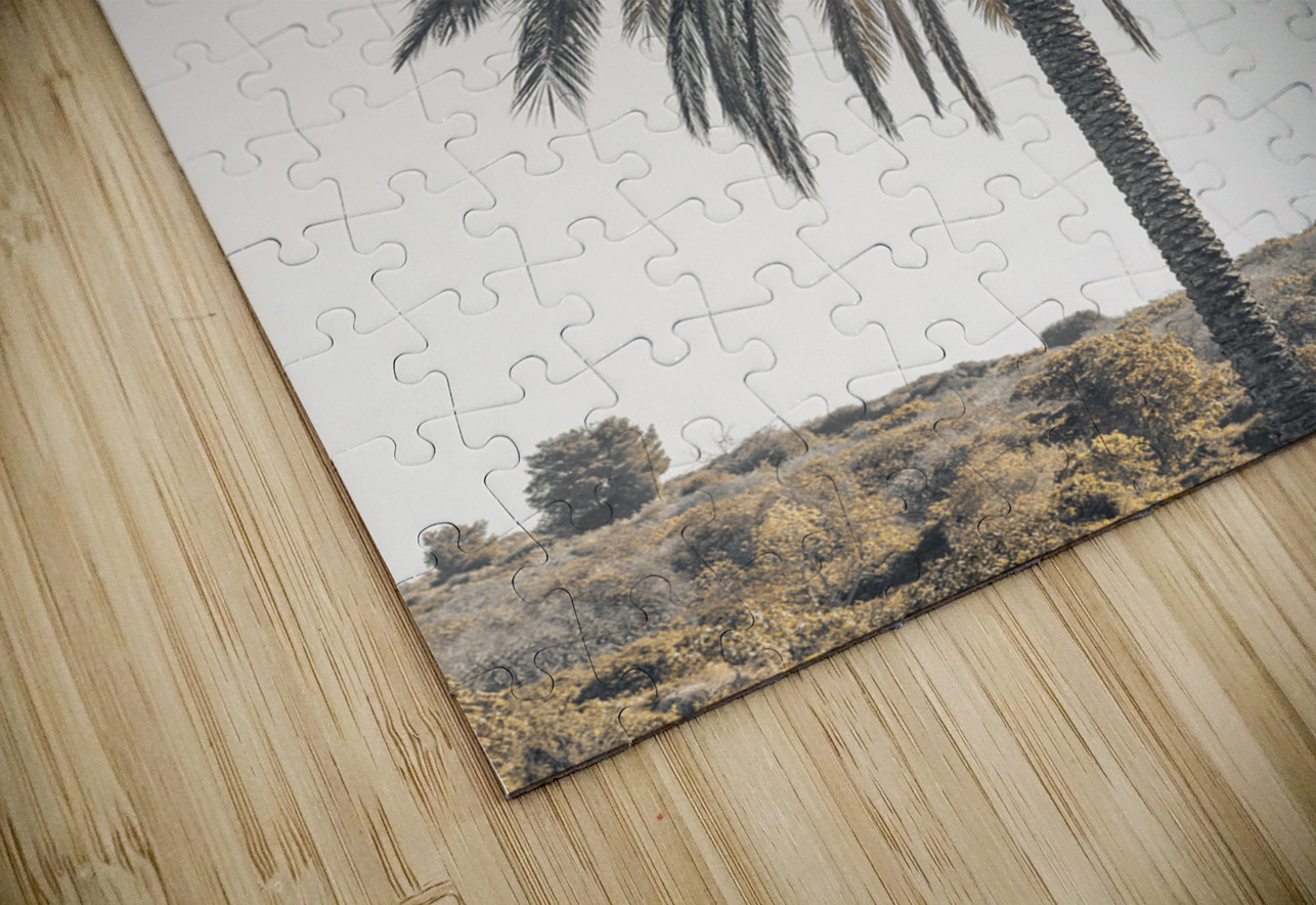 Palm Tree Assaf Frank Puzzle