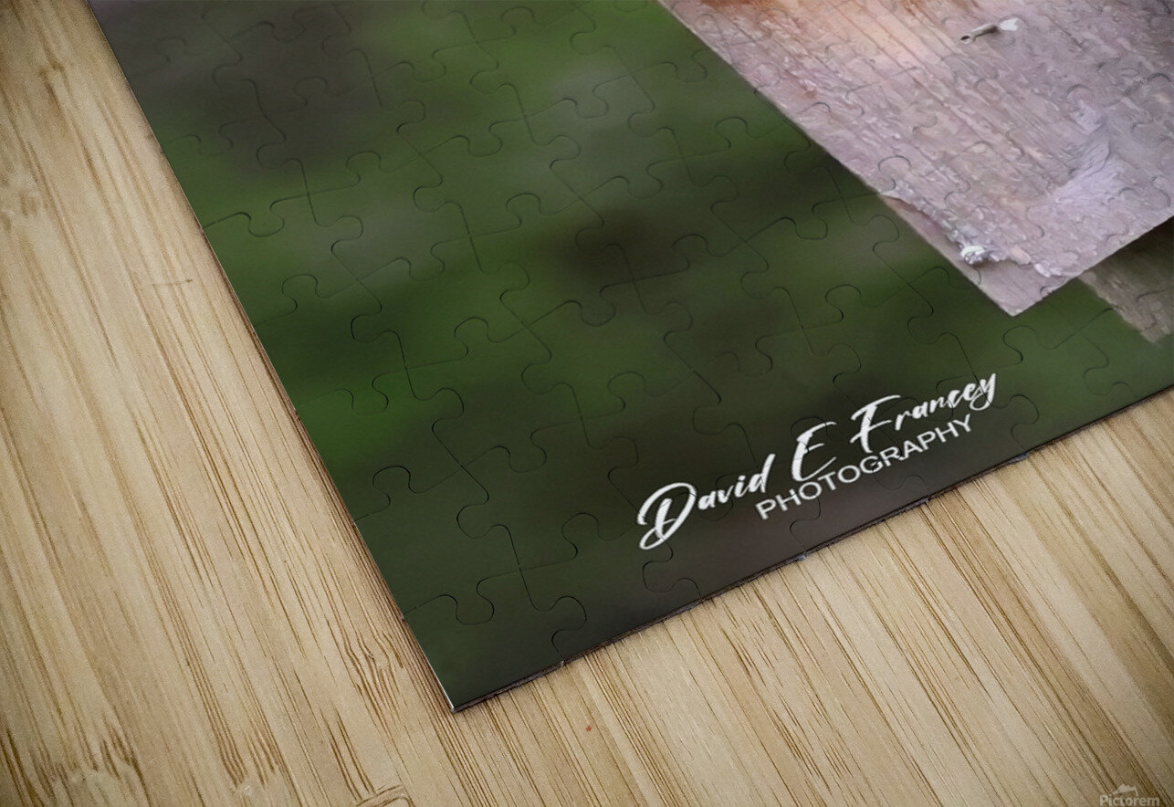 CR5 5699 Photography by Francey Puzzle