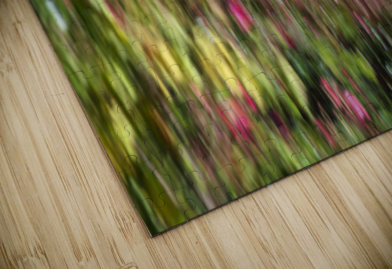 20240615 icm FOTOSQUARES COM Puzzle