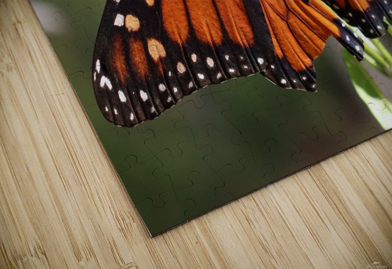 Butterfly Dan Booth Puzzle