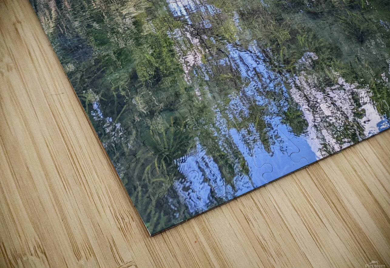 Silver Springs Dan Booth Puzzle