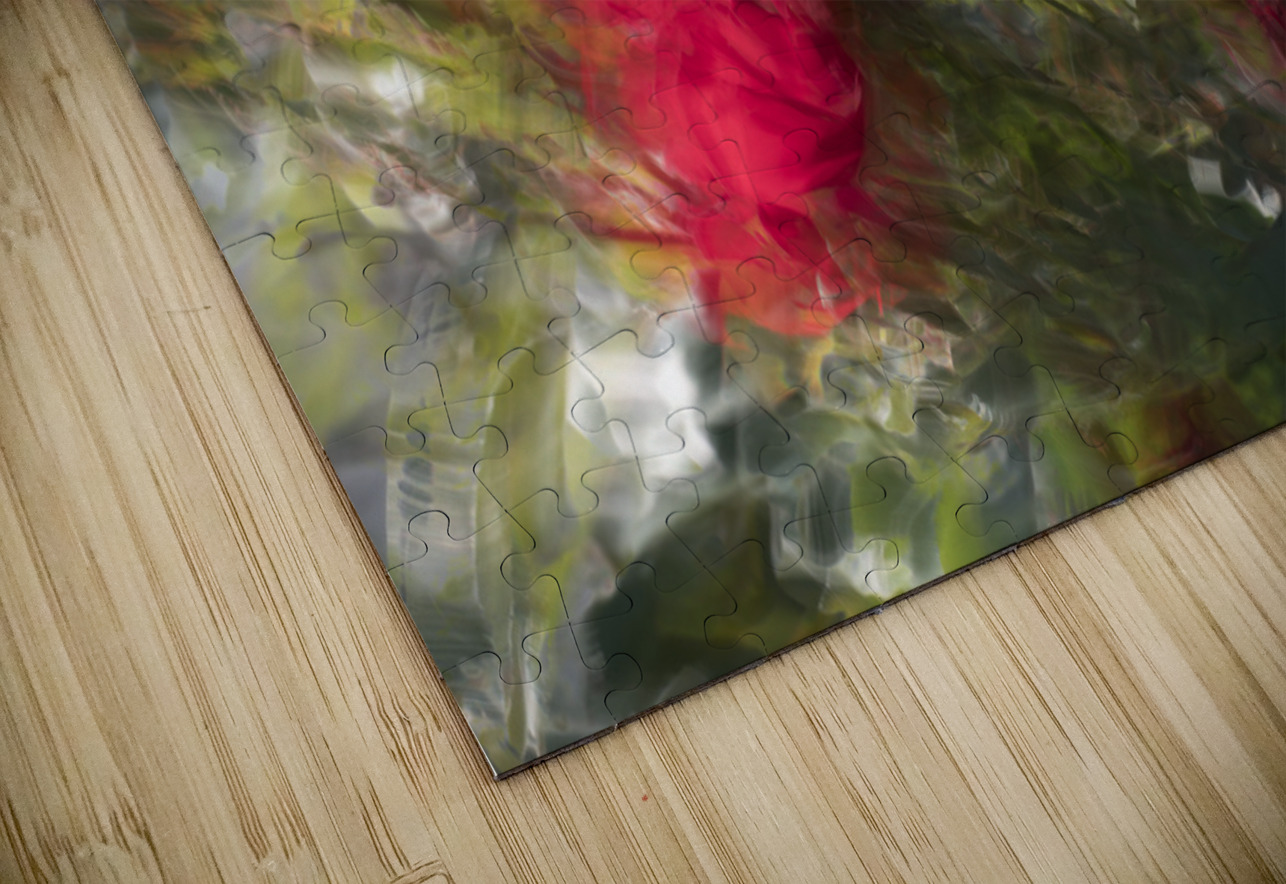 20240615 207 FOTOSQUARES COM Puzzle