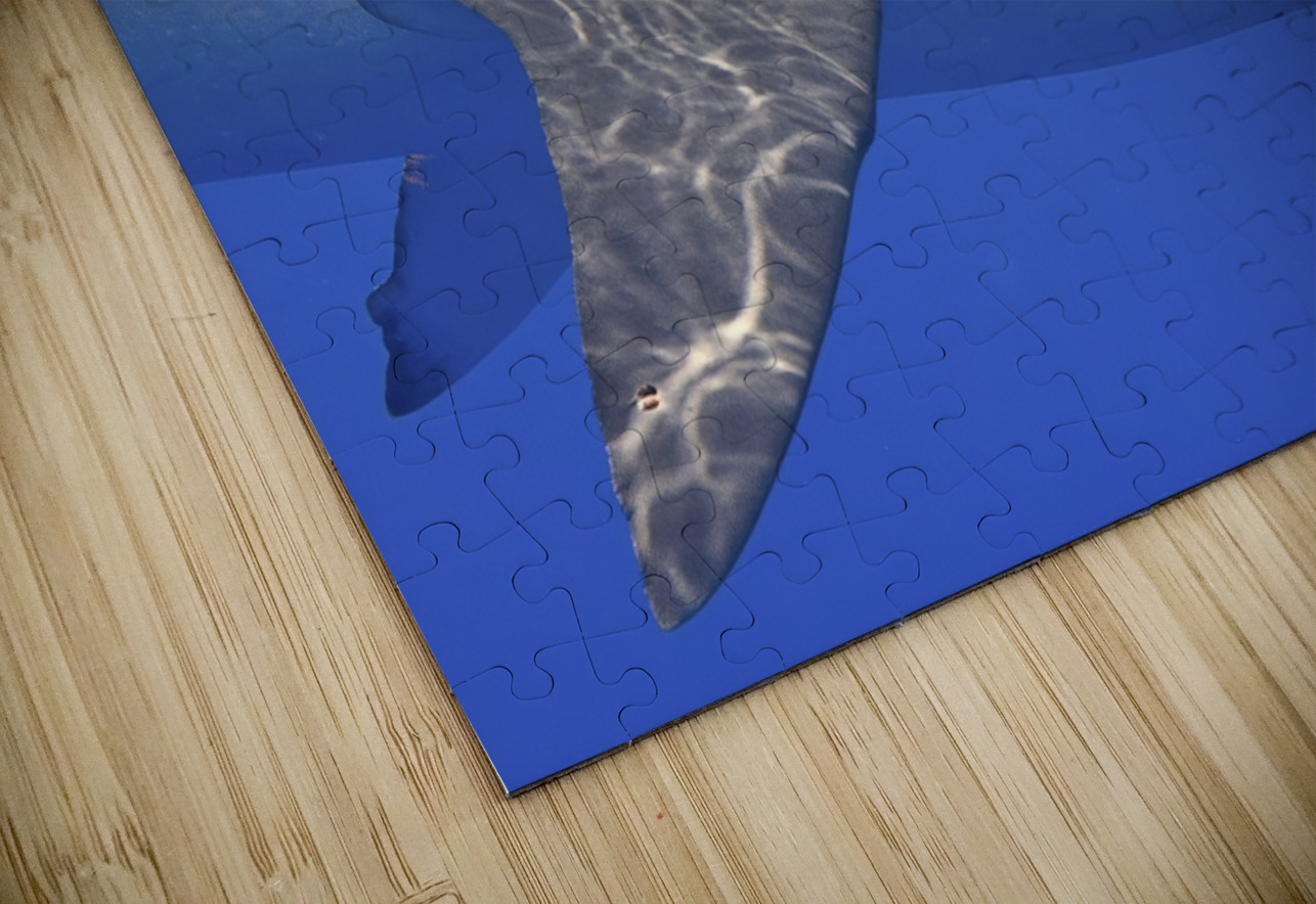 Circle DeepEarth Photography Puzzle