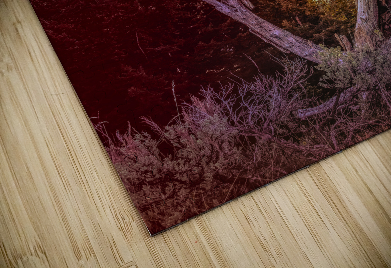 Teton Snake River Overlook Sunset Norma Brandsberg Photography Puzzle