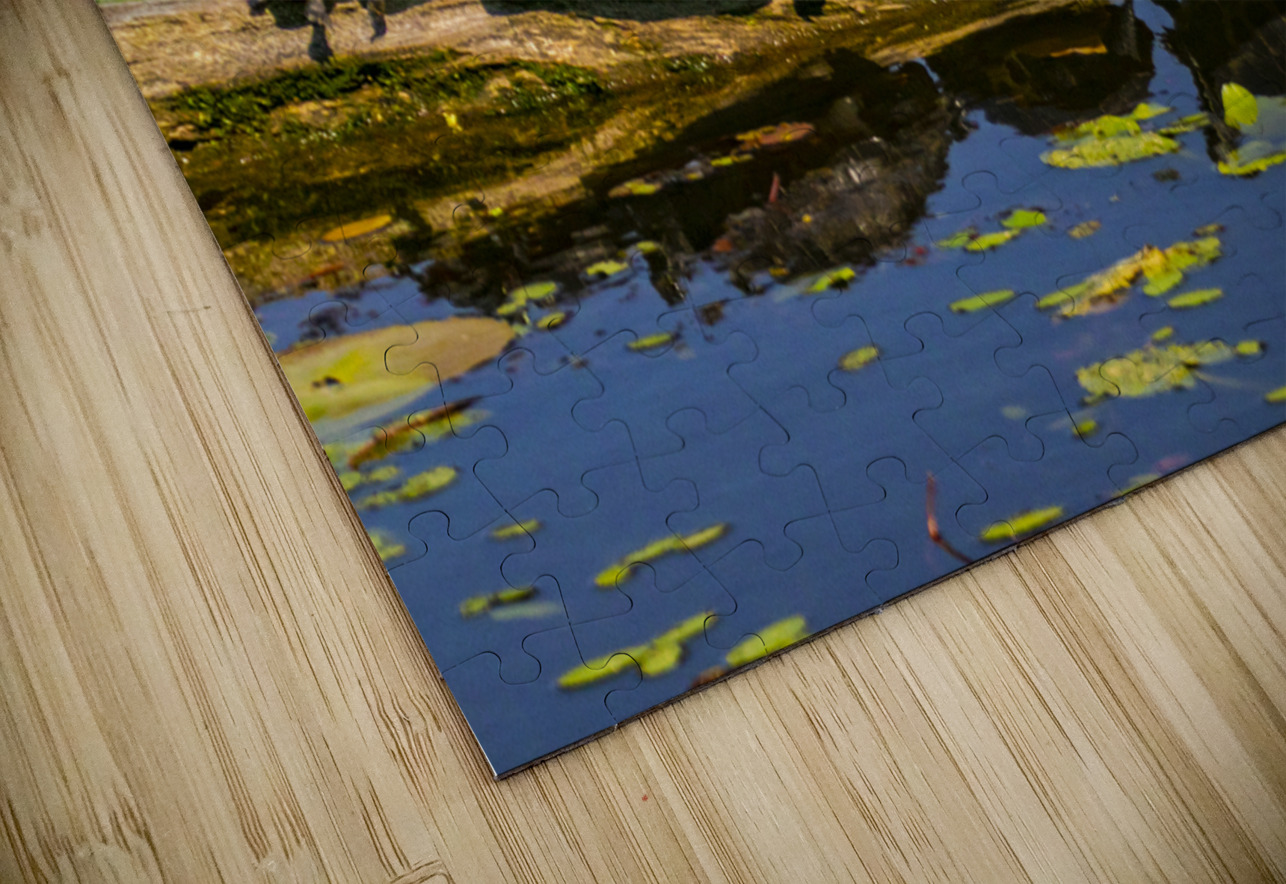 Turtle Row Spa Line Up Norma Brandsberg Photography Puzzle