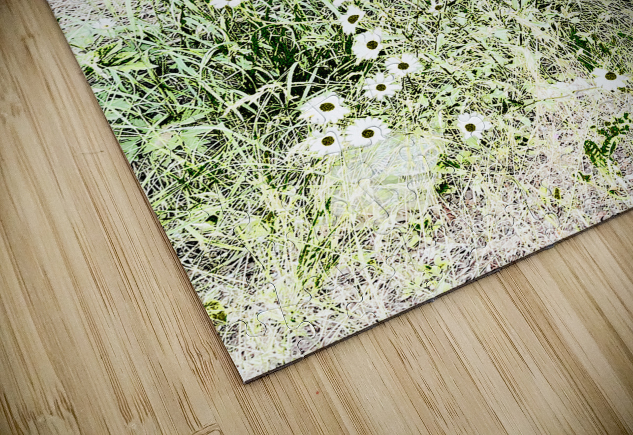 Serene Summer Daises  Catriona Roberts Nature Photography and Designs Puzzle