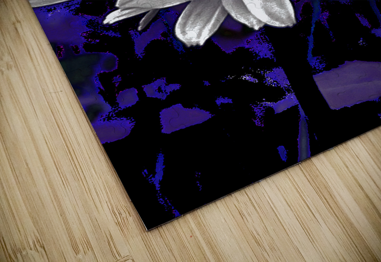 Abstract Daisy Flower on a Dark Background Catriona Roberts Nature Photography and Designs Puzzle