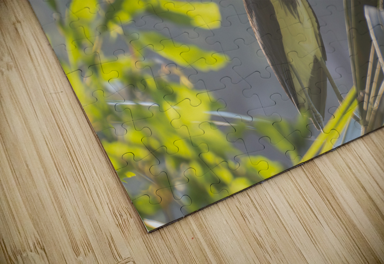 Tri Colored Heron with Backlighting Norma Brandsberg Photography Puzzle