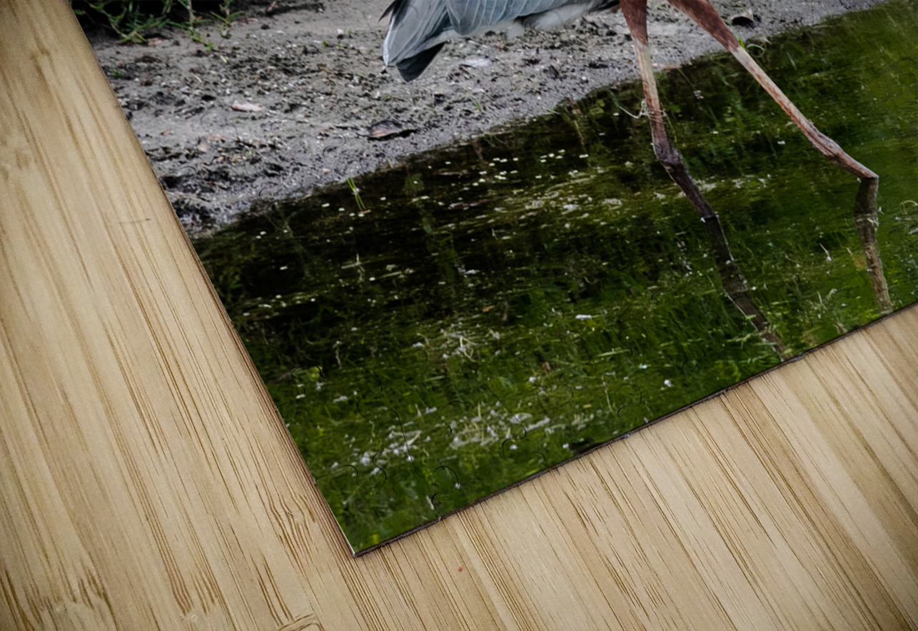 The Heron Strut Norma Brandsberg Photography Puzzle