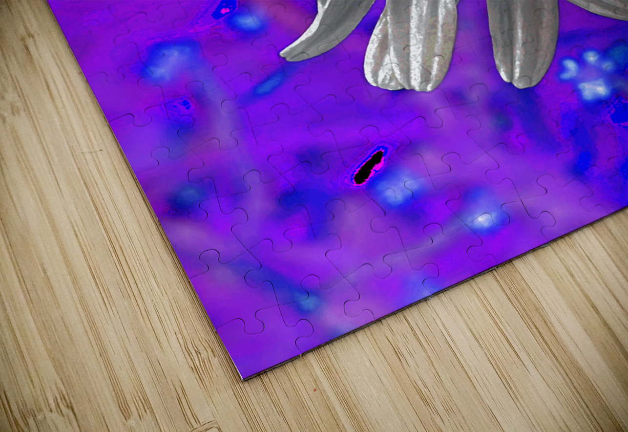  Abstract Colourful Daisy Flower  Catriona Roberts Nature Photography and Designs Puzzle