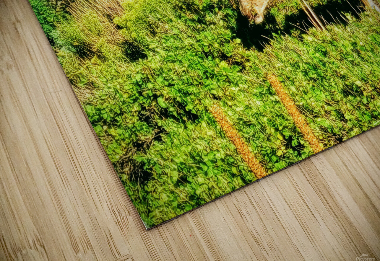 It s A Date Ell Cee Puzzle