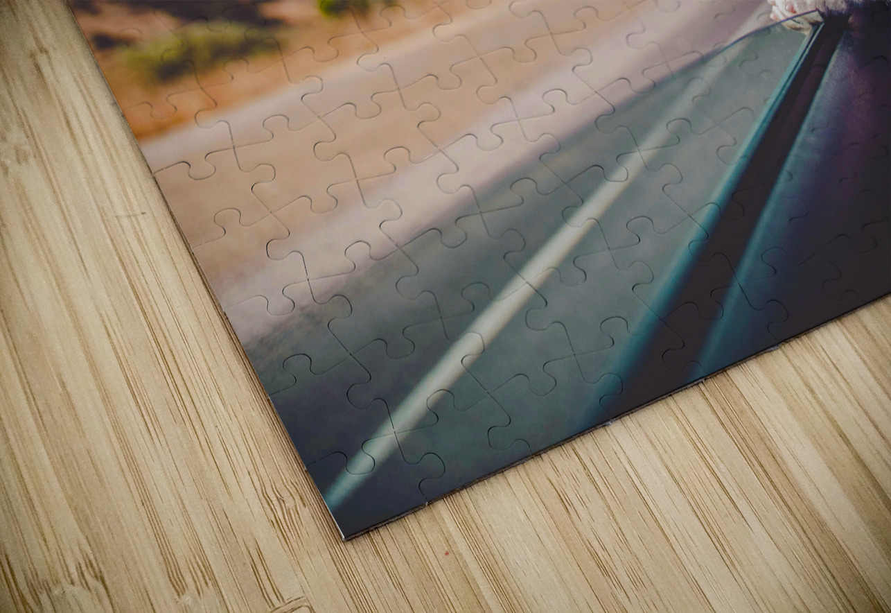 Boston Terrier Dog  One Simple Gallery Puzzle