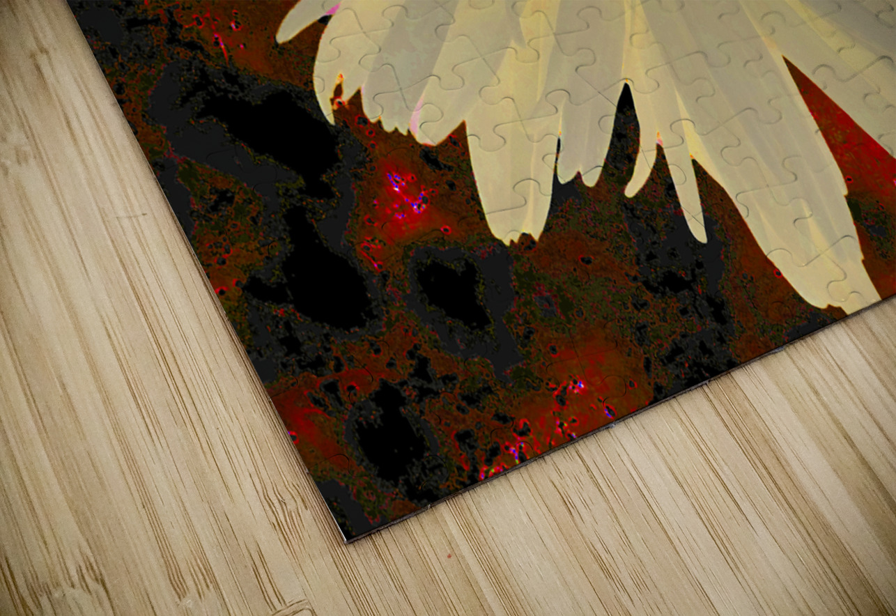 Abstract Orange Daisy with Abstract Background Catriona Roberts Nature Photography and Designs Puzzle