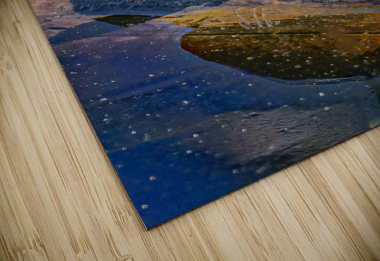 Painted Turtle Basking in the Sun Norma Brandsberg Photography Puzzle