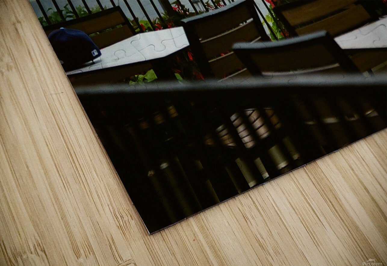 A Bird Near Niagara Falls maniacvii Puzzle