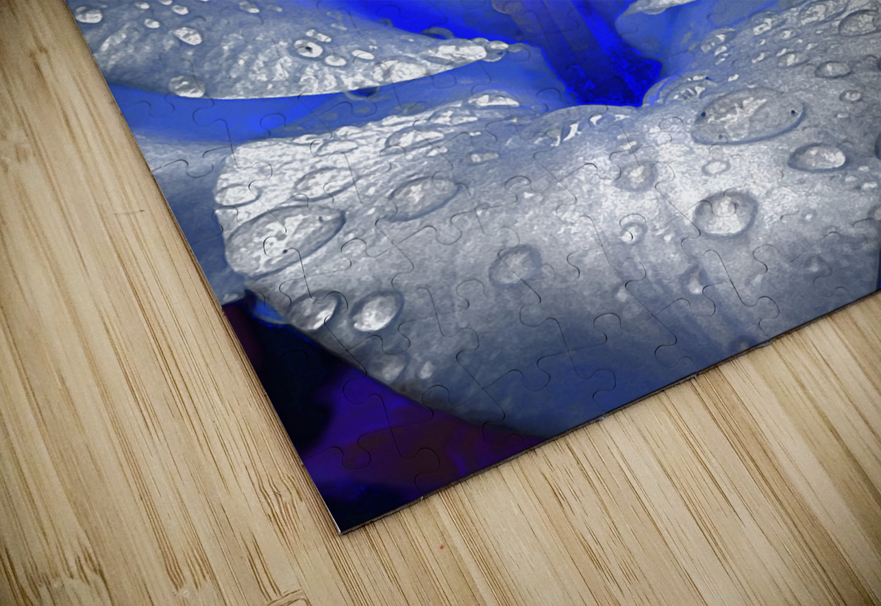 Abstract Dew Drop Lily Catriona Roberts Nature Photography and Designs Puzzle