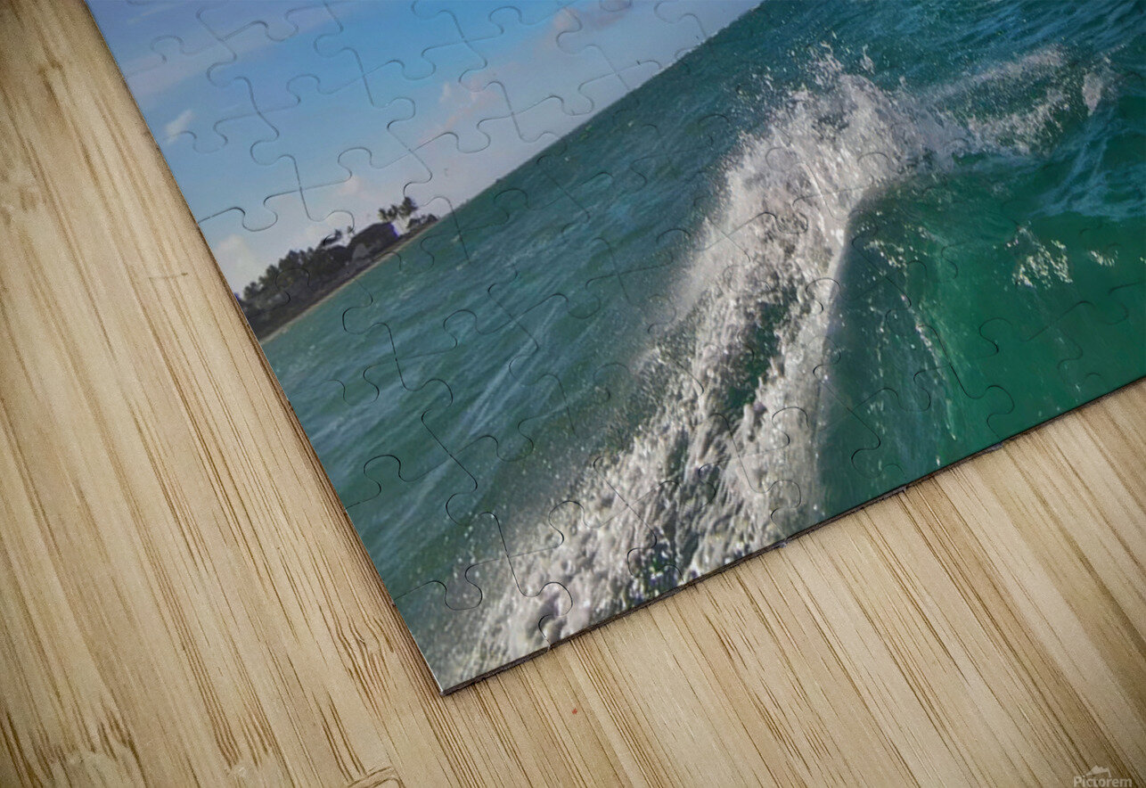 Dylan 02 Cabarete Bay Sept 24 davidjohns Puzzle