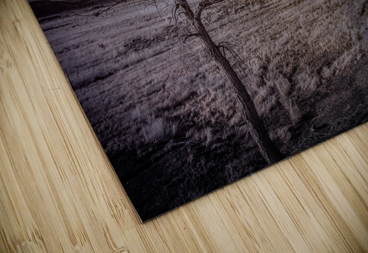 Realm of the Unknown: Lone Tree Mount Dream World Images Puzzle