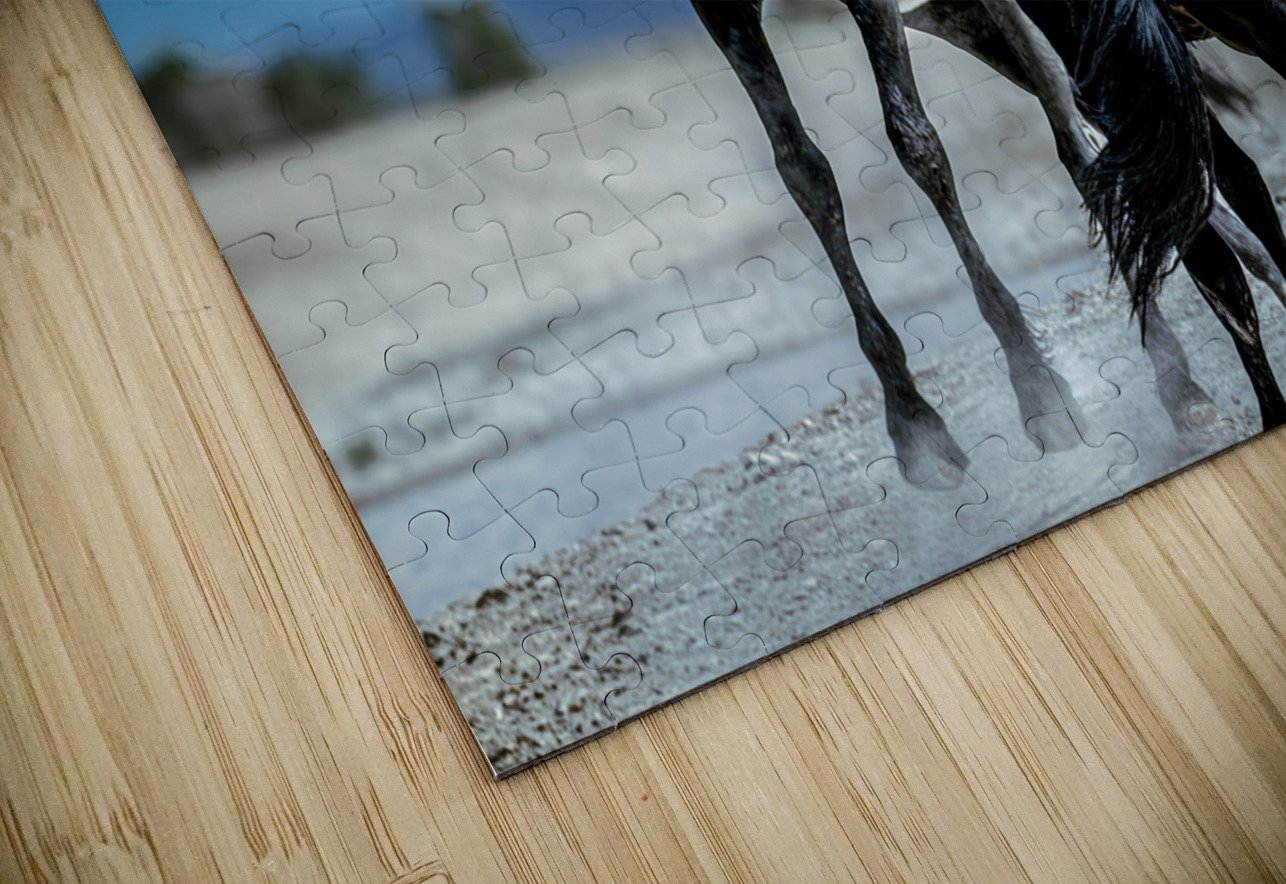 BZ9 4565 Enhanced NR Susan Lynn Cooke Puzzle