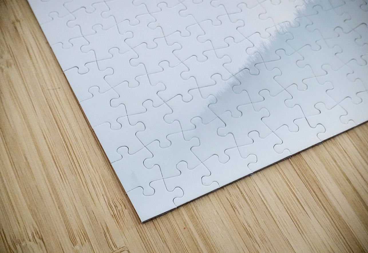 Winter mist Jane Haslam Puzzle