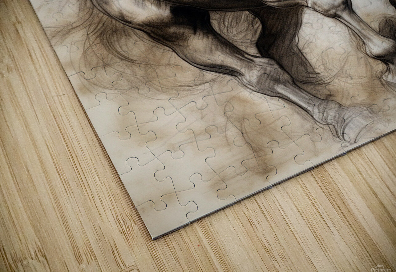 66 Majestic Horses Puzzle