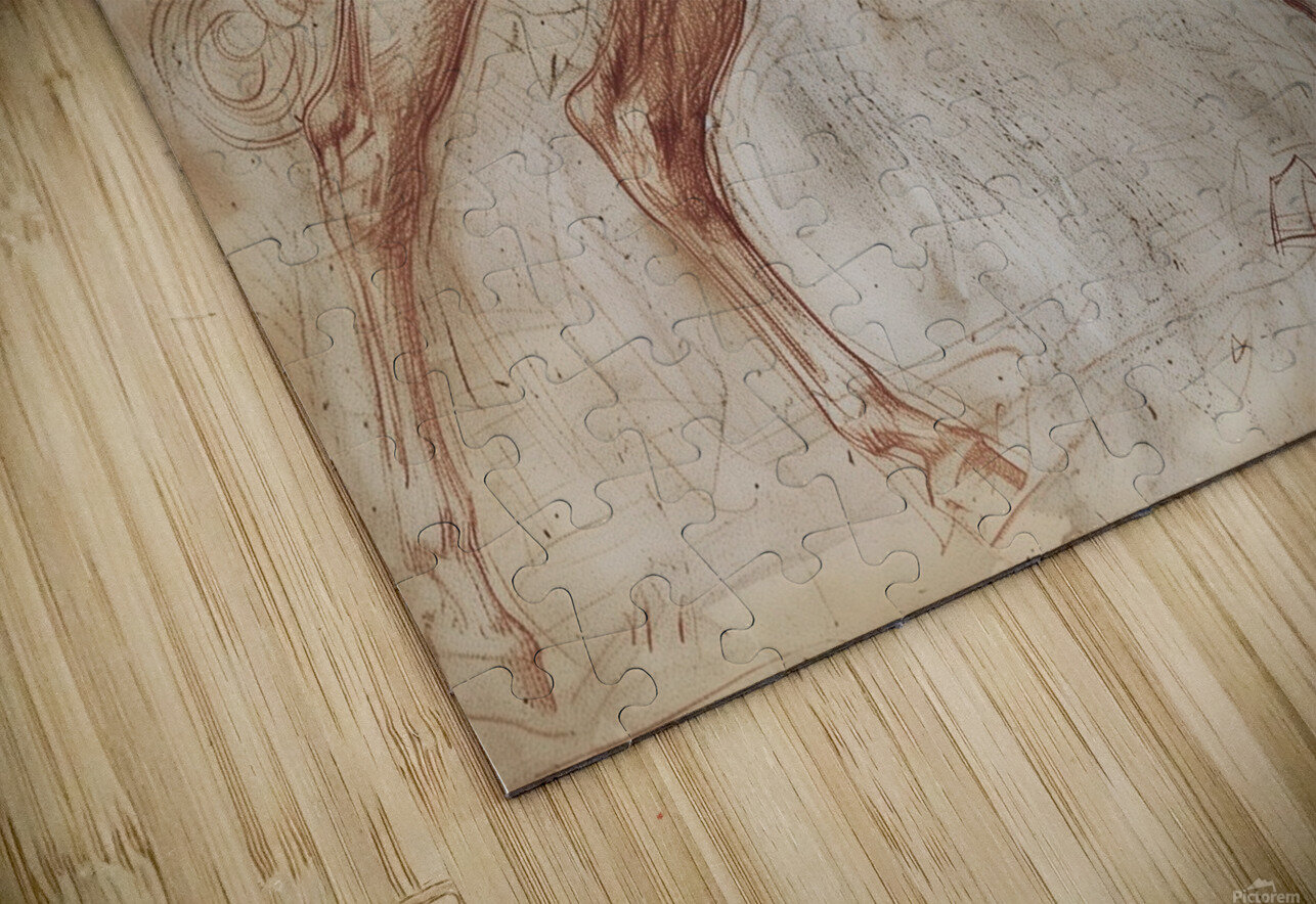 97 Majestic Horses Puzzle