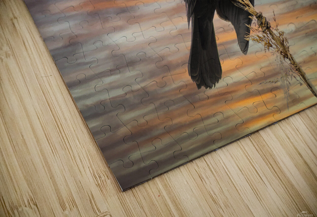 Silhouette Birds Sunset Toozastro Puzzle