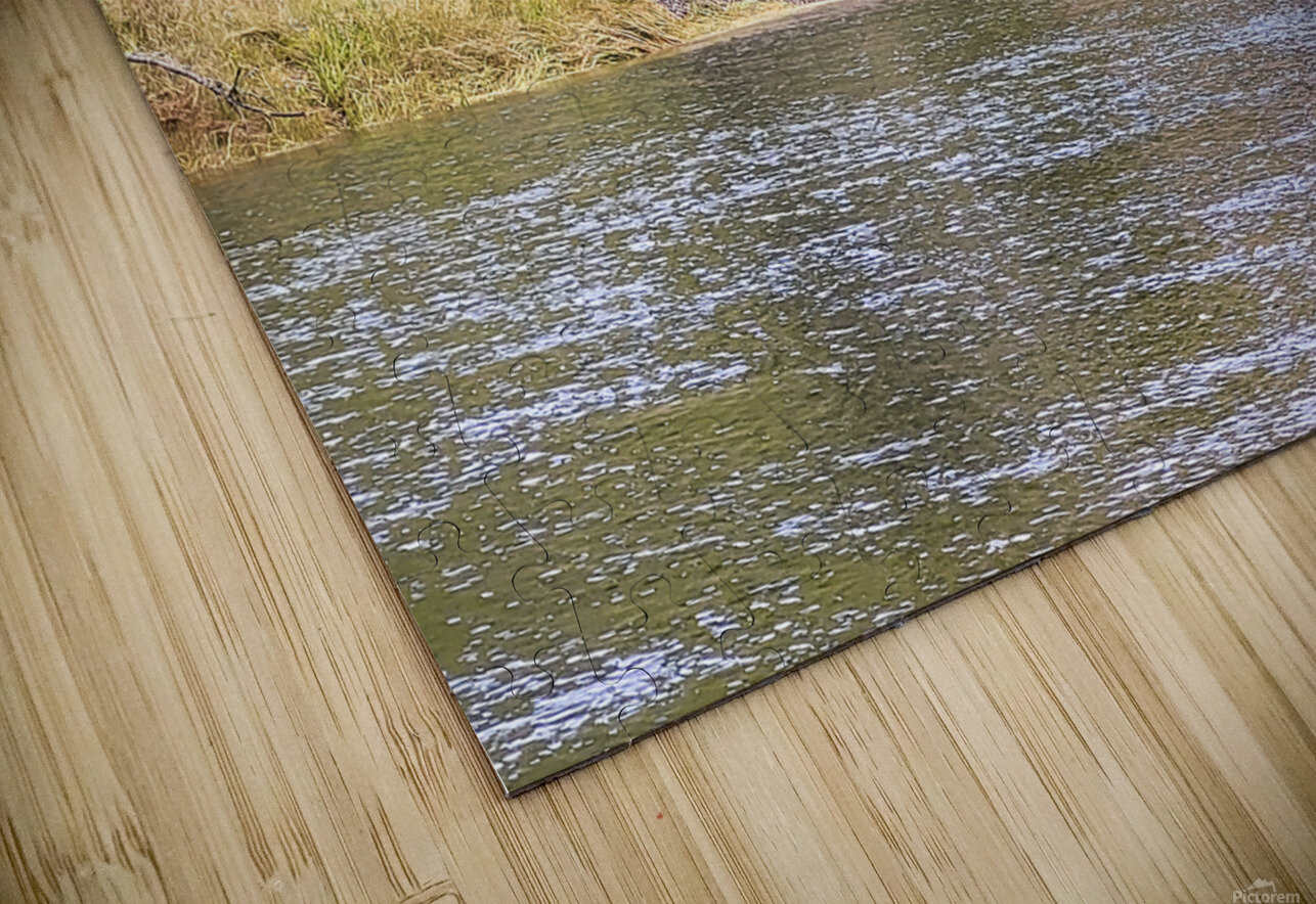 Small Waterfall Toozastro Puzzle