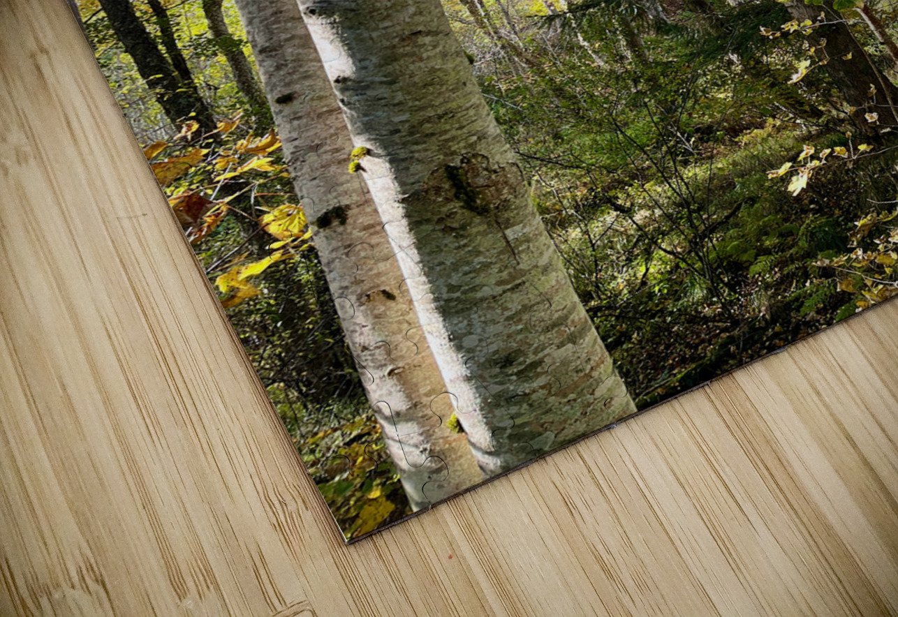 Autumns Sunlight in the Scottish Highlands Catriona Roberts Nature Photography and Designs Puzzle