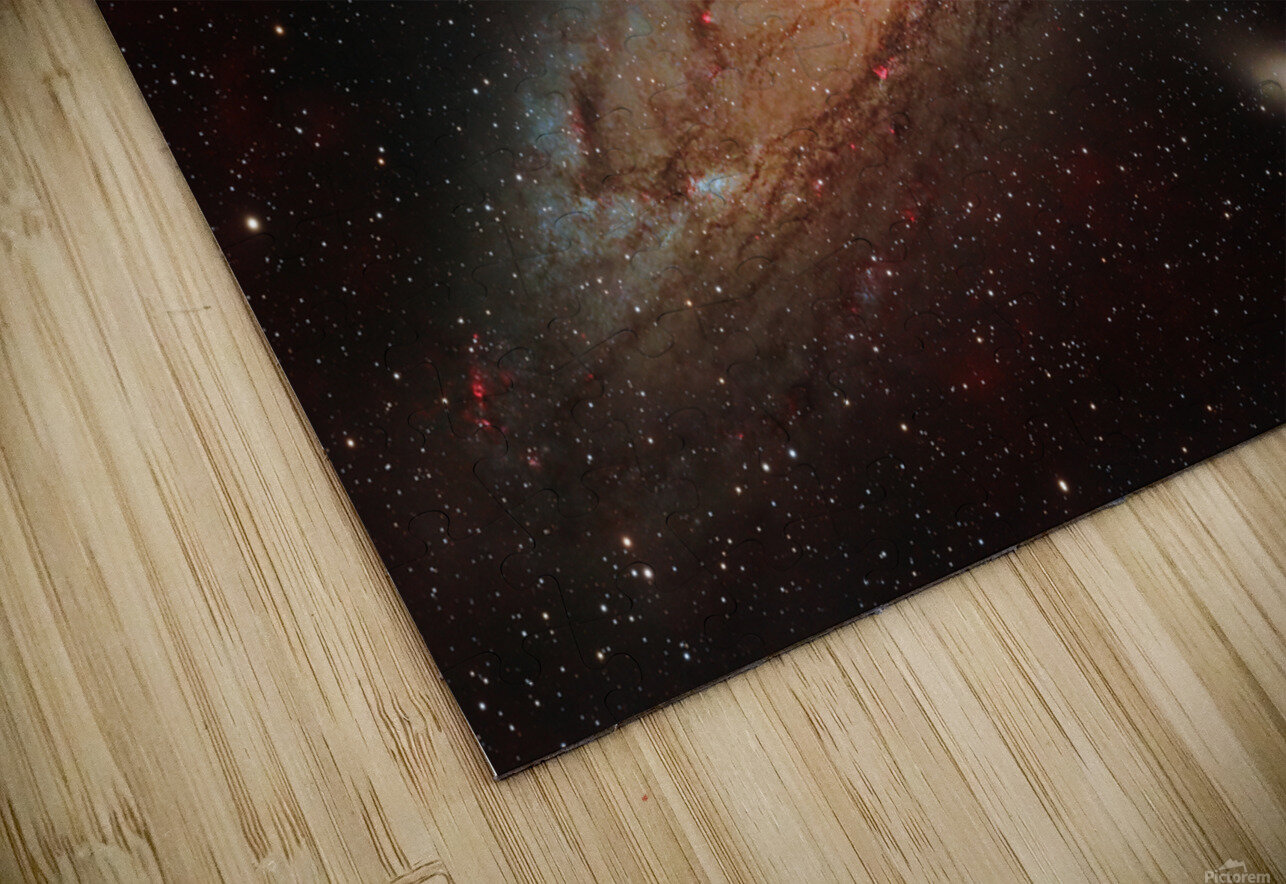 Andromeda Toozastro Puzzle