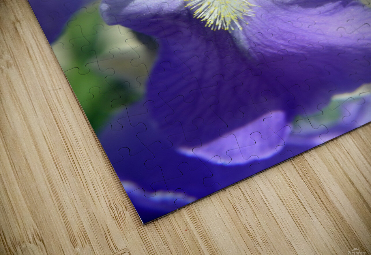 Light Purple Bearded Iris Michelle K Wood Puzzle