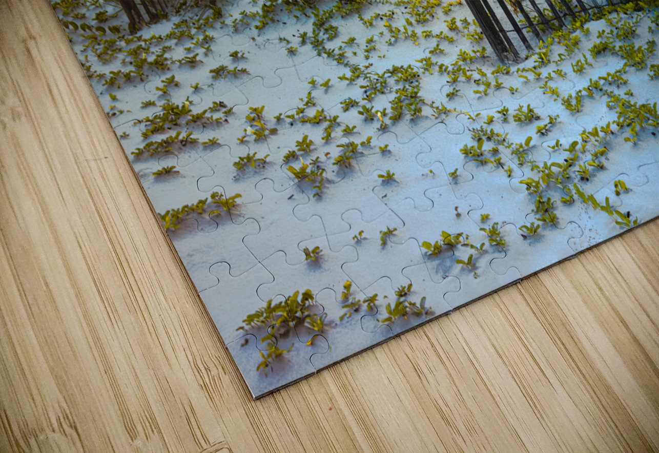 Autumn Sunset Dunes in Hilton Head Norma Brandsberg Photography Puzzle