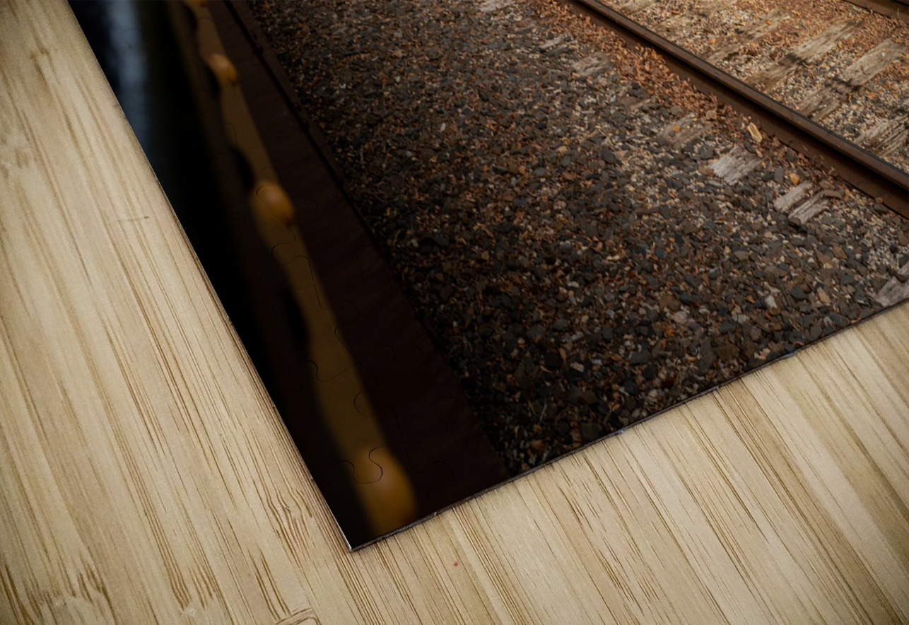 Riding Down the New Hope Rails Jason Fink Puzzle