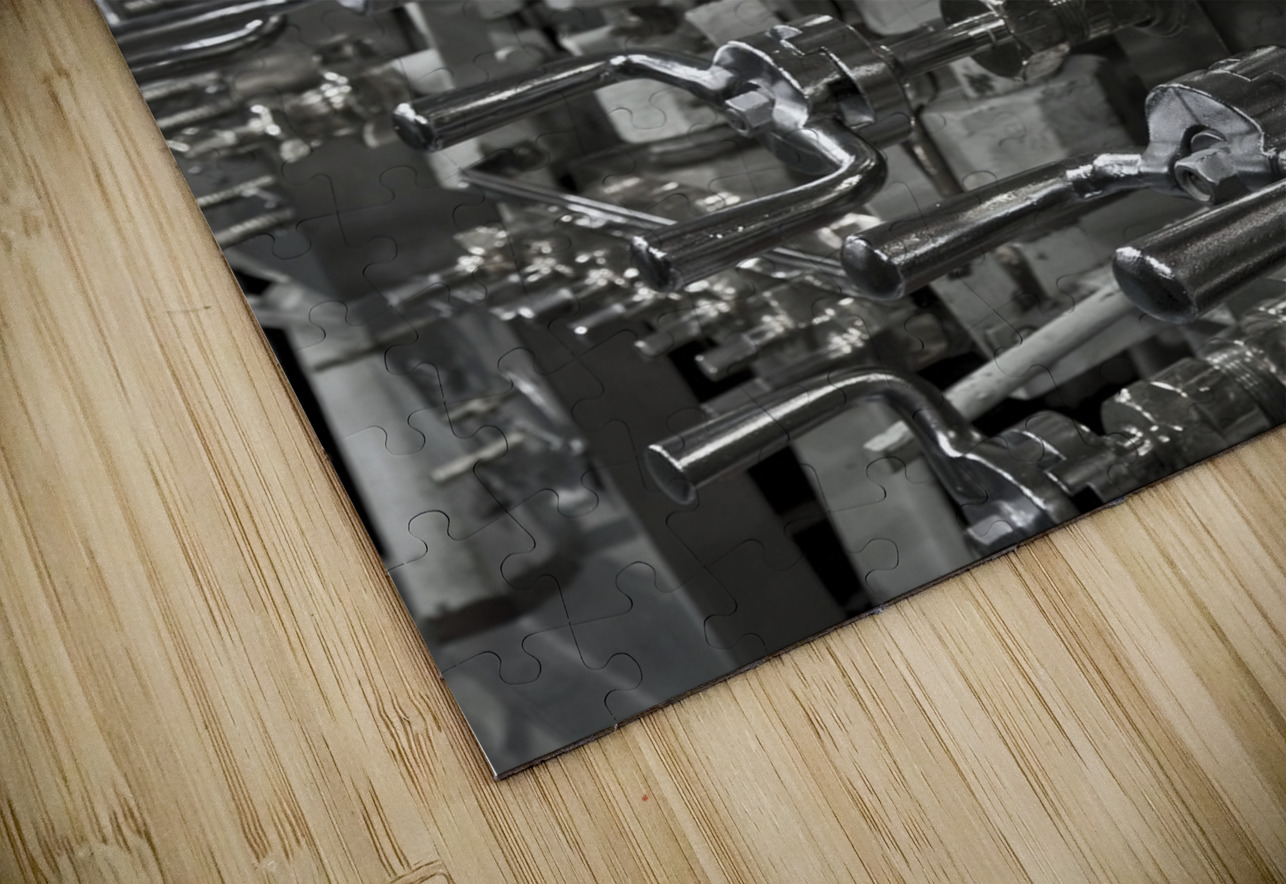 Controlling DeepEarth Photography Puzzle