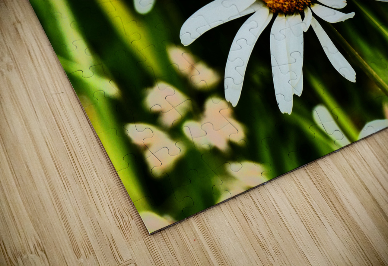  Wild Daises in the Scottish Highlands  Catriona Roberts Nature Photography and Designs Puzzle