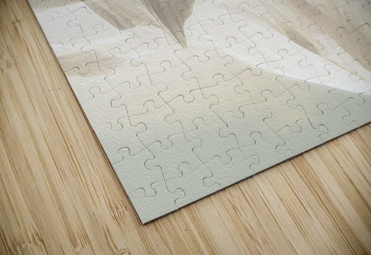 Icebergs Above and Beneath Thea Menagh Puzzle