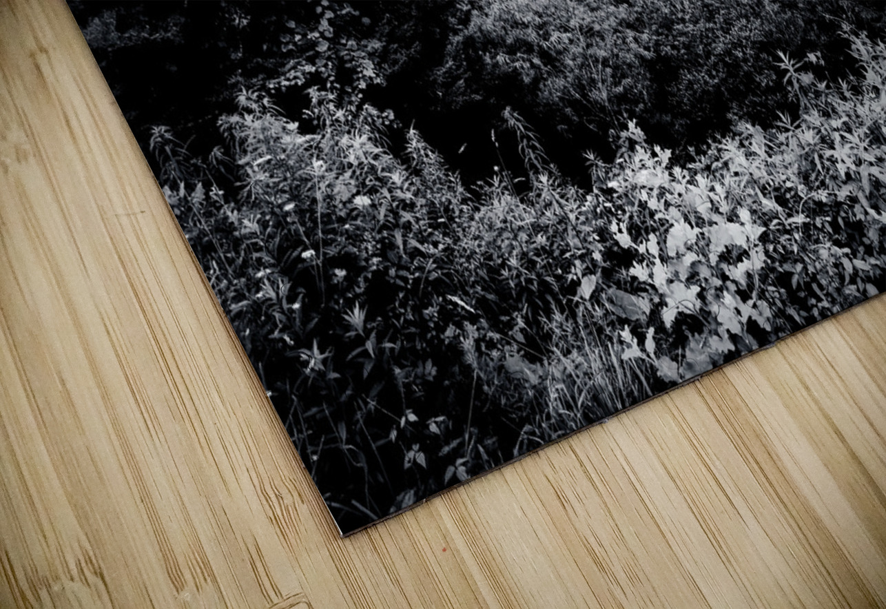 Tennessee Mountains Perfection in Black and white Norma Brandsberg Photography Puzzle