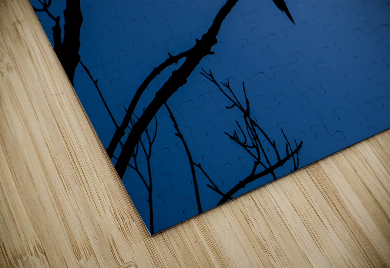 Bird Silhouette Dark Blue Jason Fink Puzzle