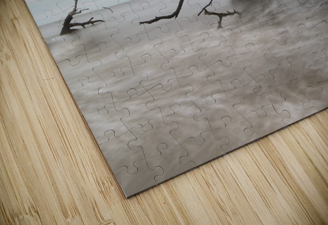 Botany Bay Tree 2 Norma Brandsberg Photography Puzzle