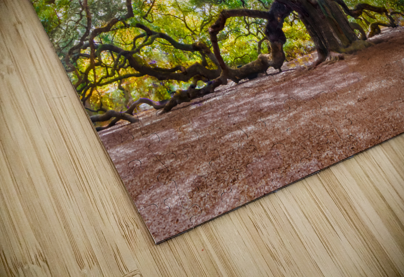 Spreading my Wings Norma Brandsberg Photography Puzzle