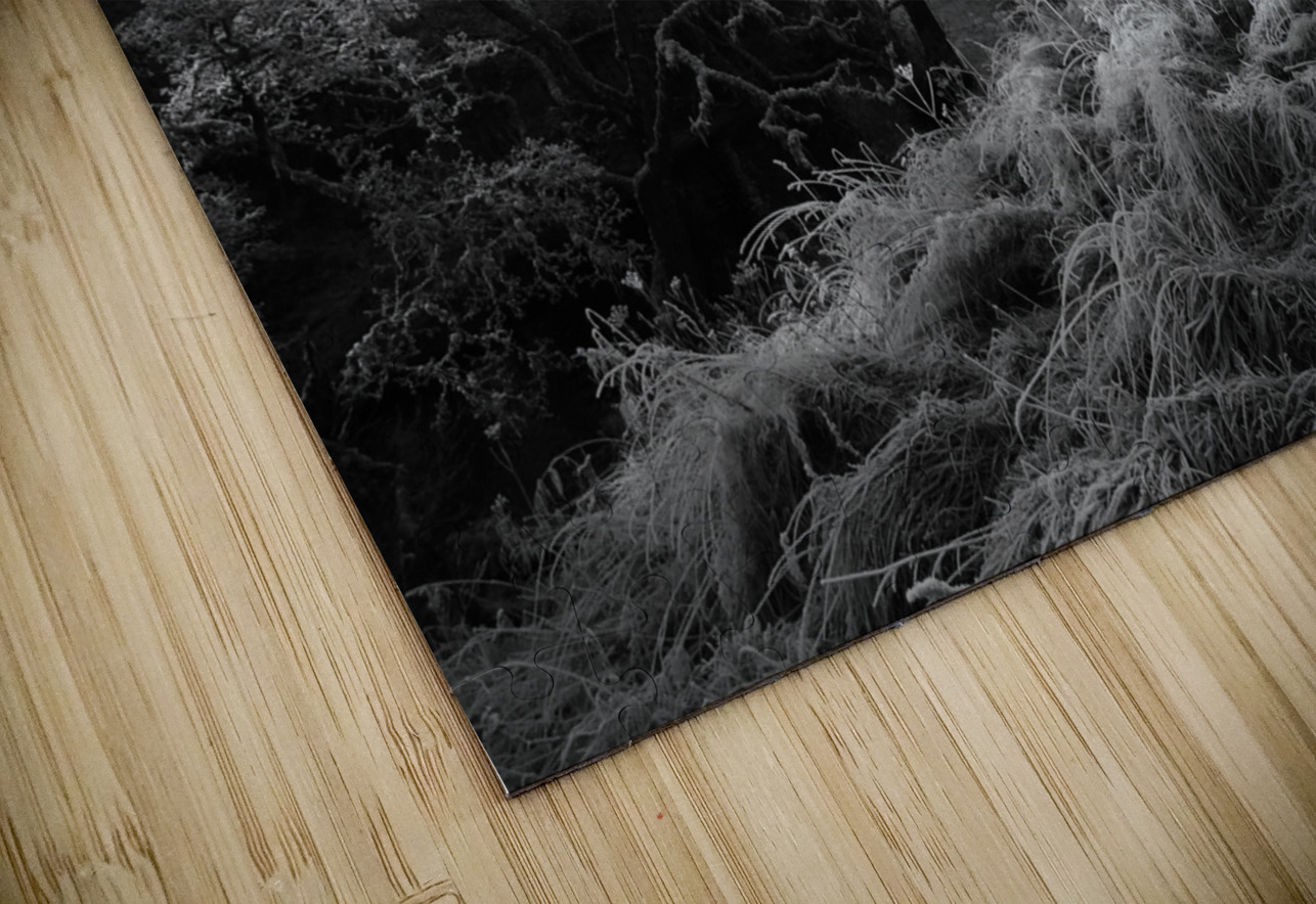 Frosty Morning in the Scottish Highlands Catriona Roberts Nature Photography and Designs Puzzle