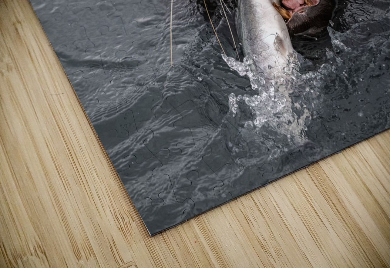 Graphic Sea Lion Hunts: Understanding Their Predatory Skills Caio Paagman Photography Puzzle